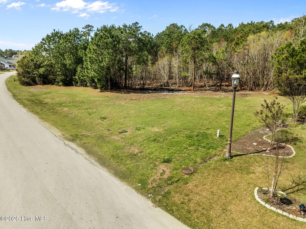 Photo of 207 Everett Park Trail, Holly Ridge, NC 28445 (MLS # 100561510)