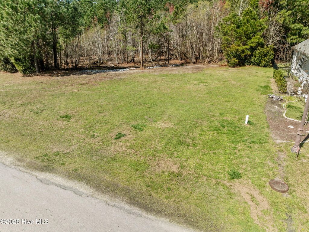 Photo of 207 Everett Park Trail, Holly Ridge, NC 28445 (MLS # 100561510)