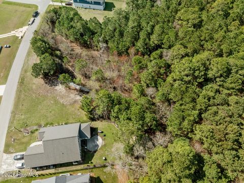 Tiny photo for 207 Everett Park Trail, Holly Ridge, NC 28445 (MLS # 100561510)