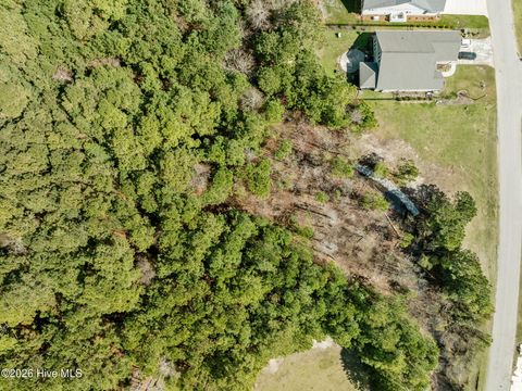 Tiny photo for 207 Everett Park Trail, Holly Ridge, NC 28445 (MLS # 100561510)