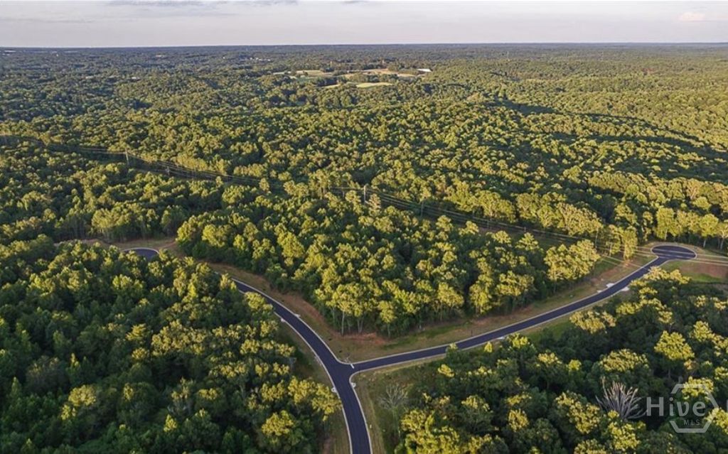 Photo of 1146 Olympus Court, Athens, GA 30606 (MLS # CL351954)