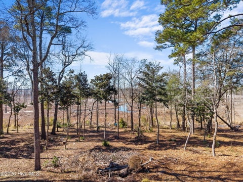 Tiny photo for 1405 Ness Drive, Castle Hayne, NC 28429 (MLS # 100589388)