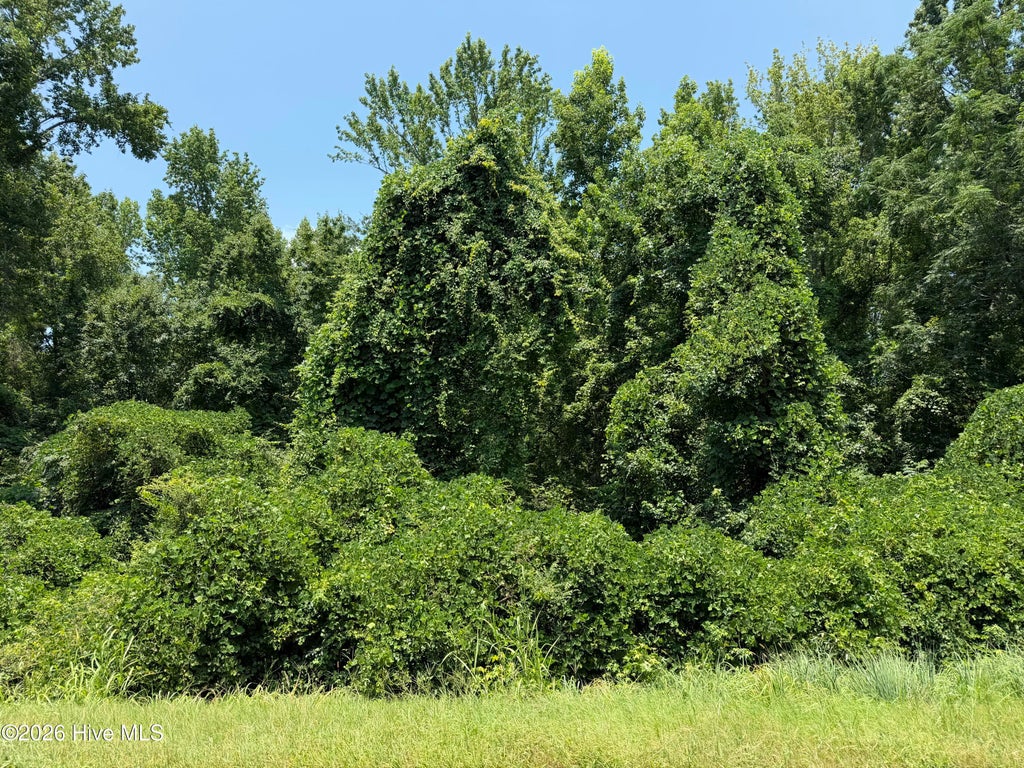 Photo of 6925 Cobbham Road, Appling, GA 30802 (MLS # 100586346)