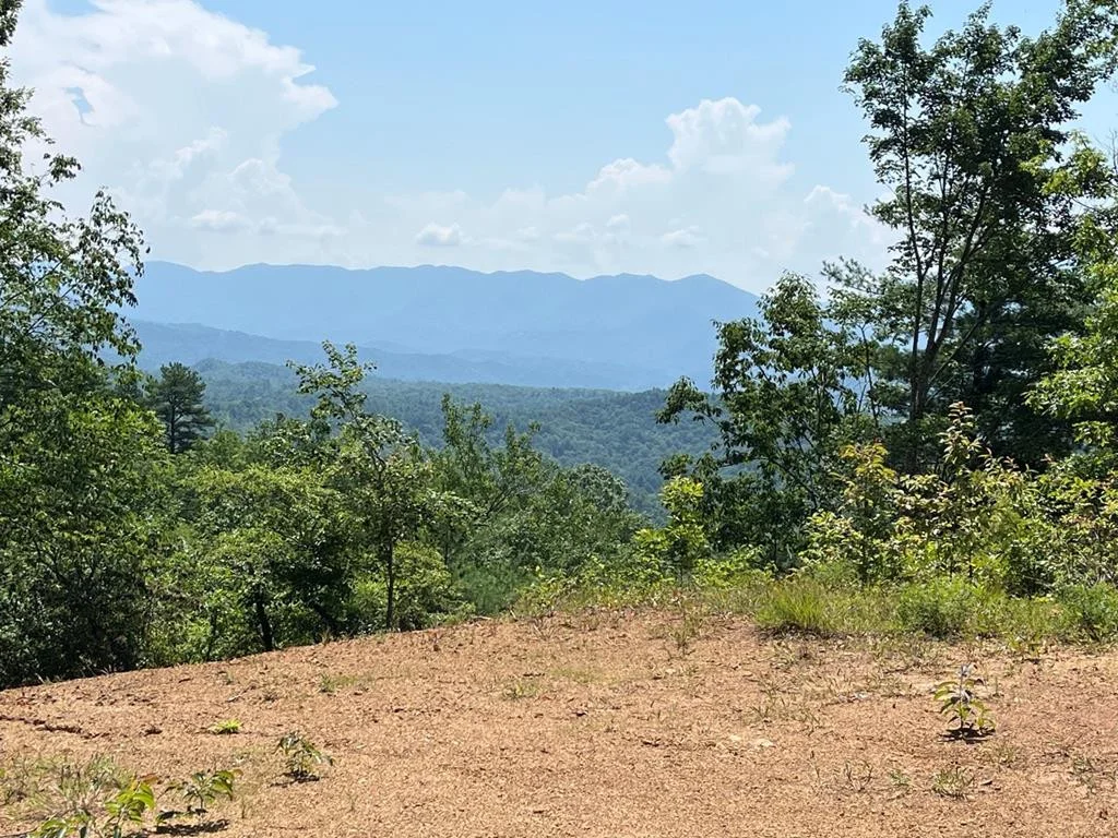 501 Cliff Top Trail
