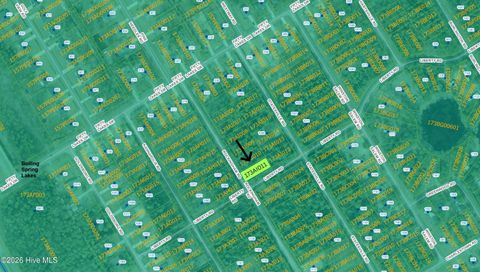 Vacant Land For Sale - LOT 18 Rockingham Road<br/> Boiling Spring Lakes, NC 28461