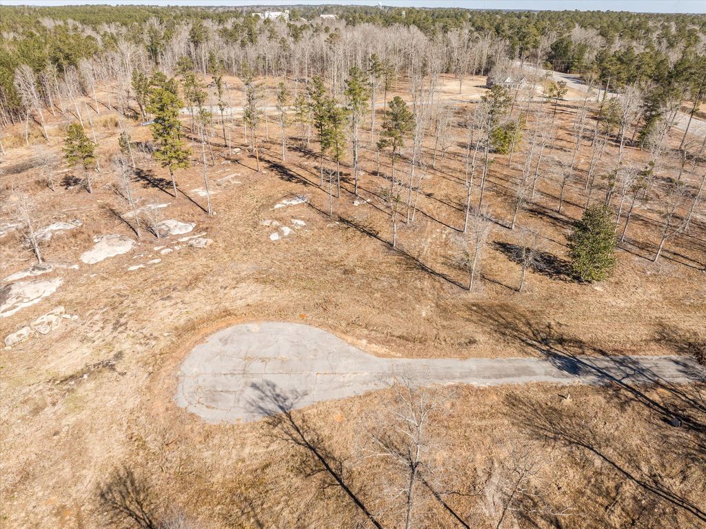 Photo of 140 Big Rock Road, Thomson, GA 30824 (MLS # 555645)