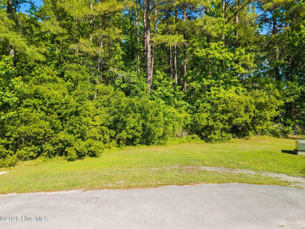 Photo of 2160 Lake Butler Lane NW, Longwood, NC 28452 (MLS # 100575232)
