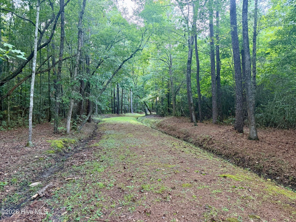 Photo of 1356 Gould Road, Jacksonville, NC 28540 (MLS # 100600807)