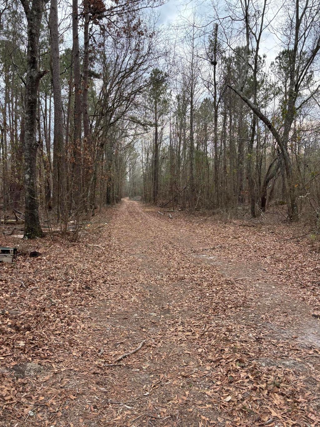 Photo of 745 Wright Allen Road, Blythe, GA 30805 (MLS # 550813)