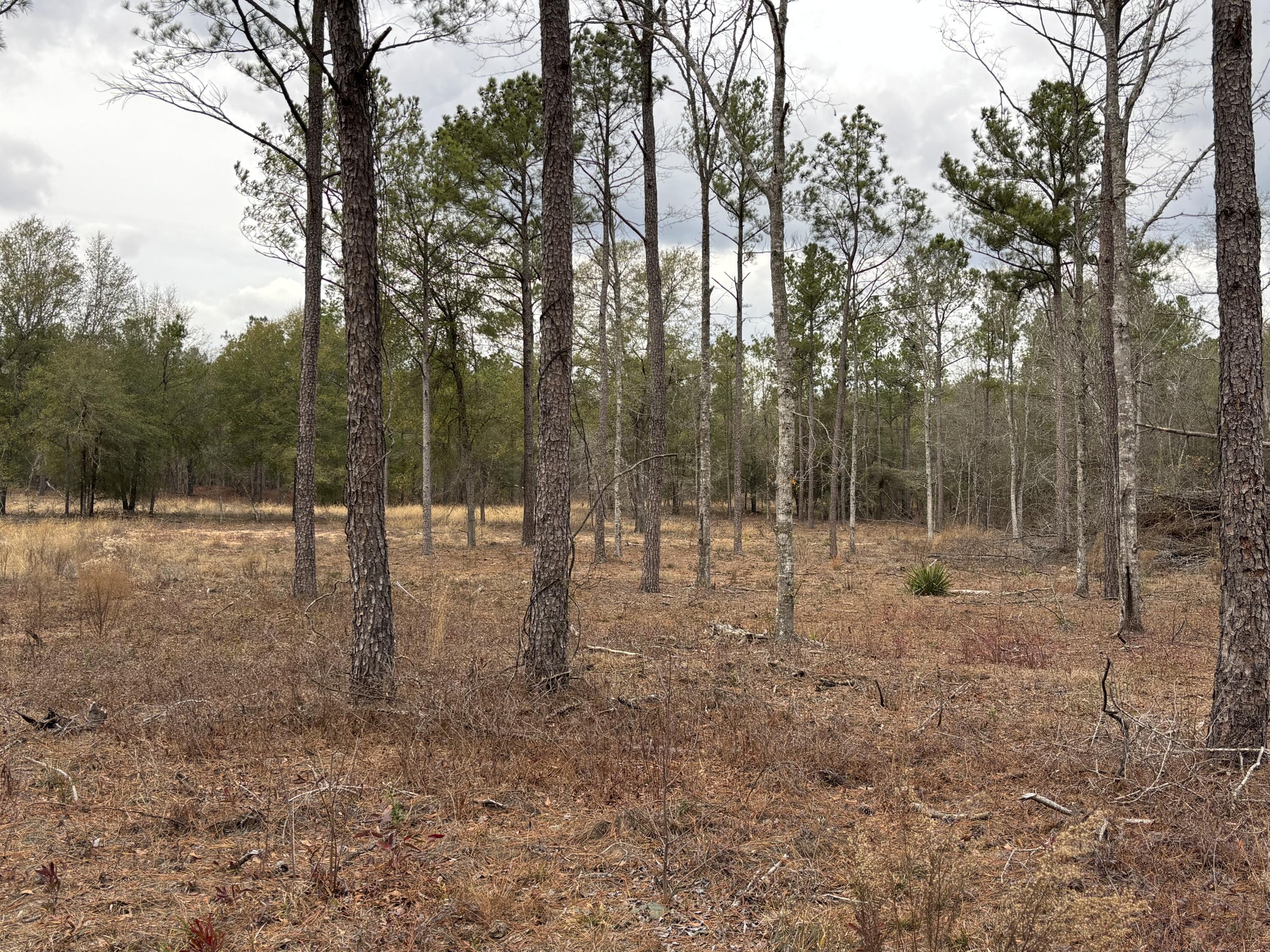 745 Wright Allen Road