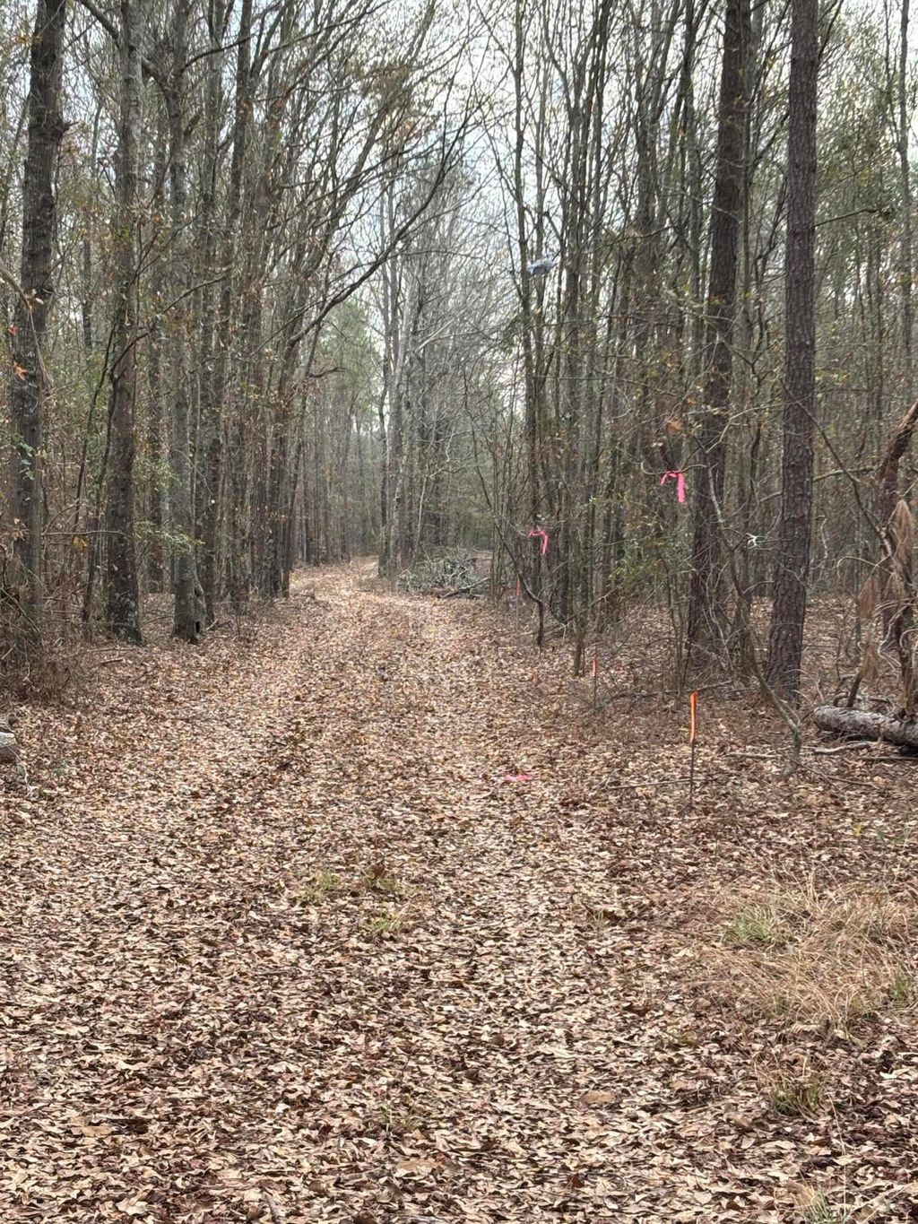 Photo of 745 Wright Allen Road, Blythe, GA 30805 (MLS # 550813)