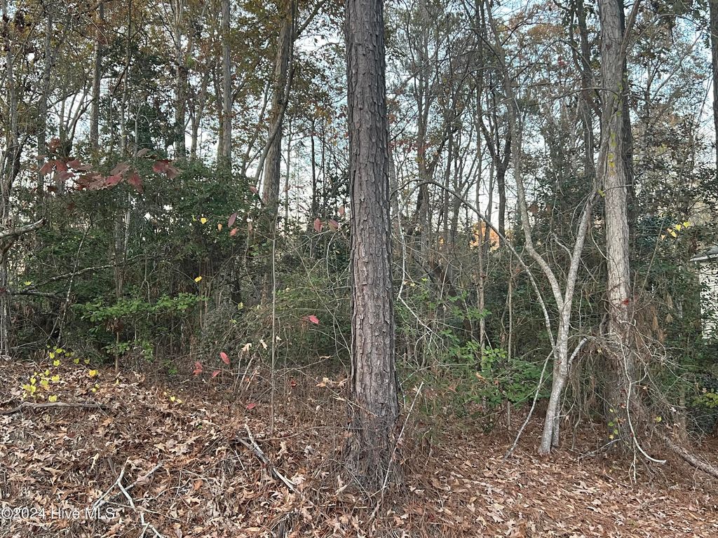 Photo of 204 Lakeview Drive, Whispering Pines, NC 28327 (MLS # 100552420)