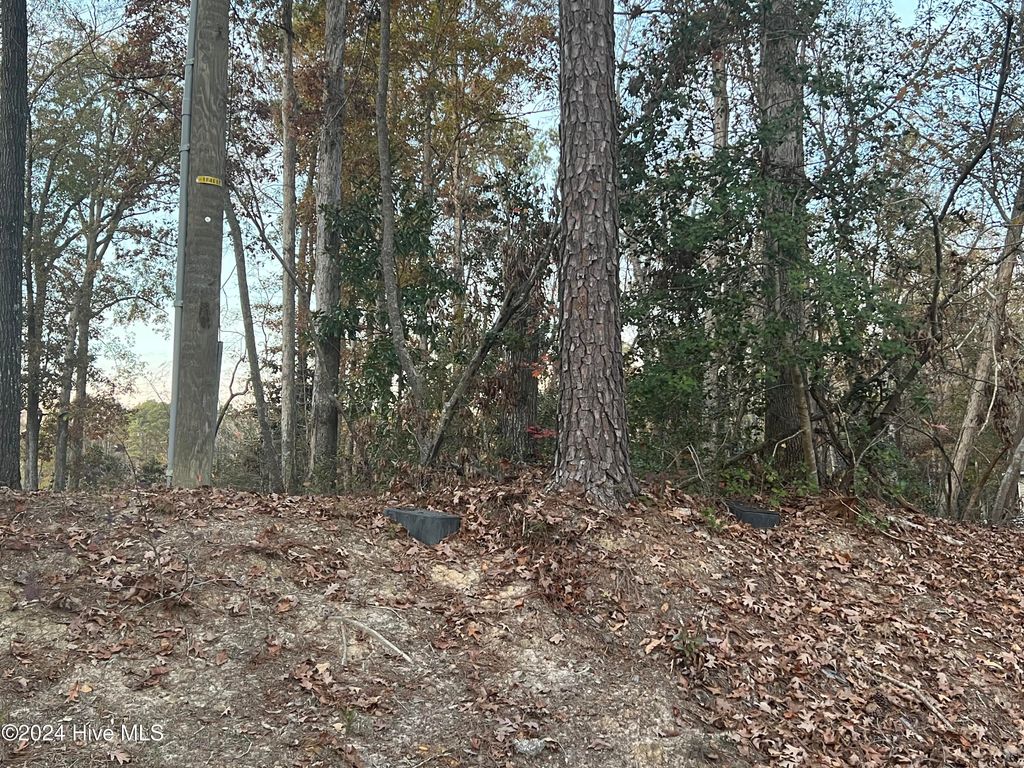 Photo of 204 Lakeview Drive, Whispering Pines, NC 28327 (MLS # 100552420)