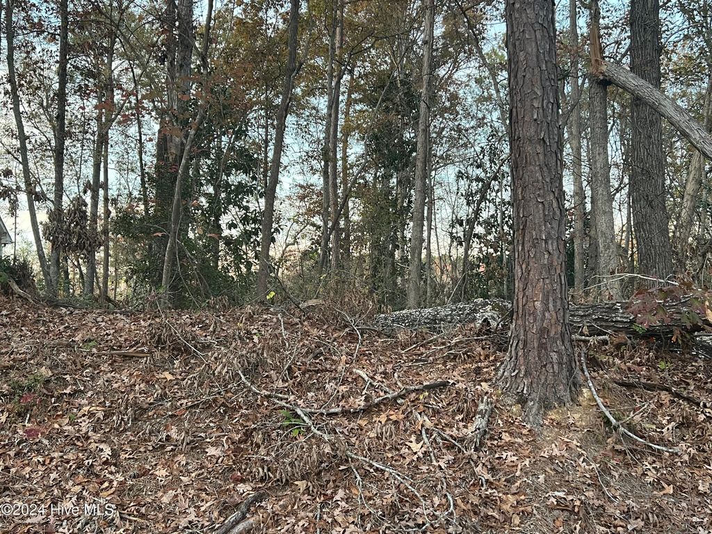 Photo of 204 Lakeview Drive, Whispering Pines, NC 28327 (MLS # 100552420)