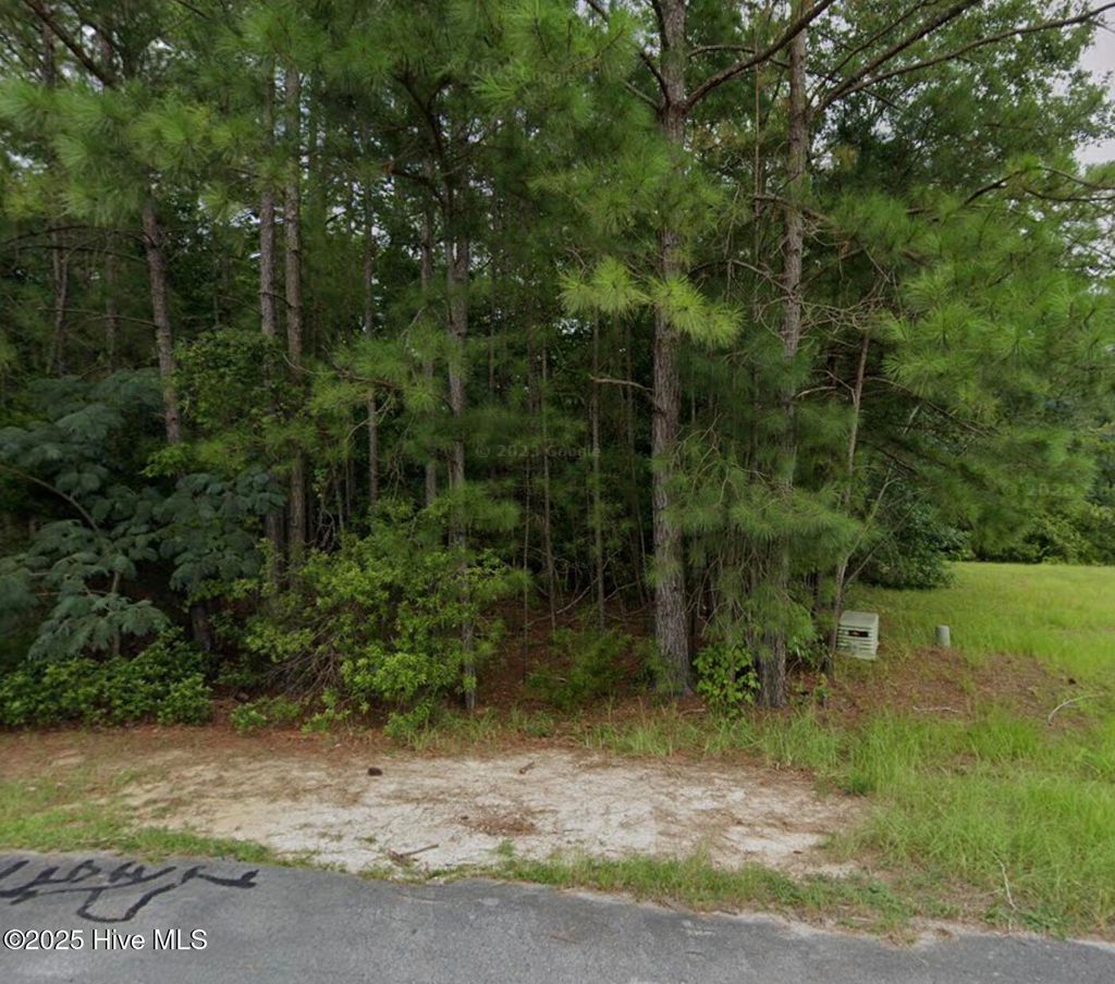 Photo of 325 Farina Drive, Havelock, NC 28532 (MLS # 100546264)