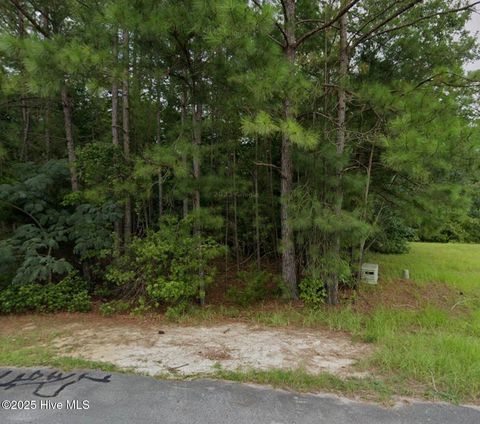 Vacant Land For Sale - 325 Farina Drive<br/> Havelock, NC 28532