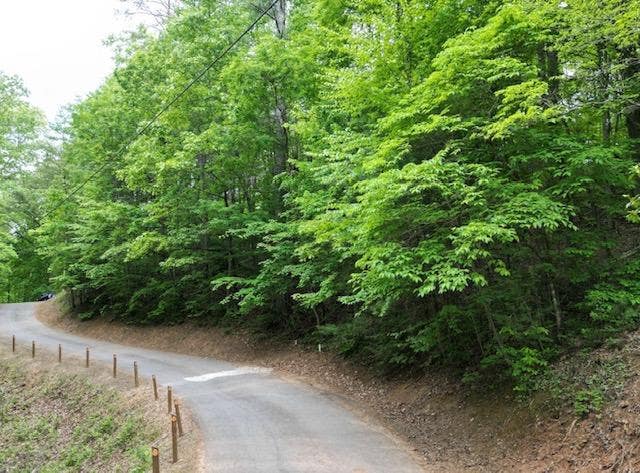 Photo of 00 Dogwood Trail, Robbinsville, NC 28771 (MLS # 98544662)