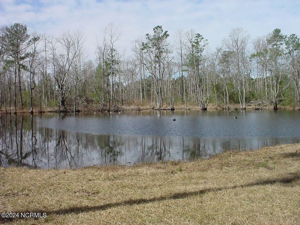 Photo of 1 Harts Lane, Rocky Point, NC 28457 (MLS # 100454865)