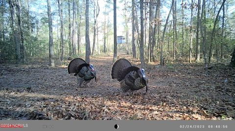 Vacant Land For Sale - LOT #1 Harts Lane<br/> Rocky Point, NC 28457