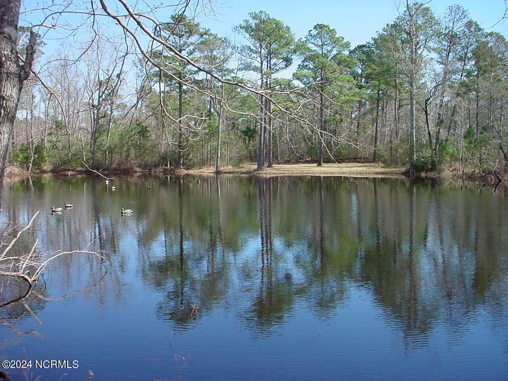 Photo of 1 Harts Lane, Rocky Point, NC 28457 (MLS # 100454865)