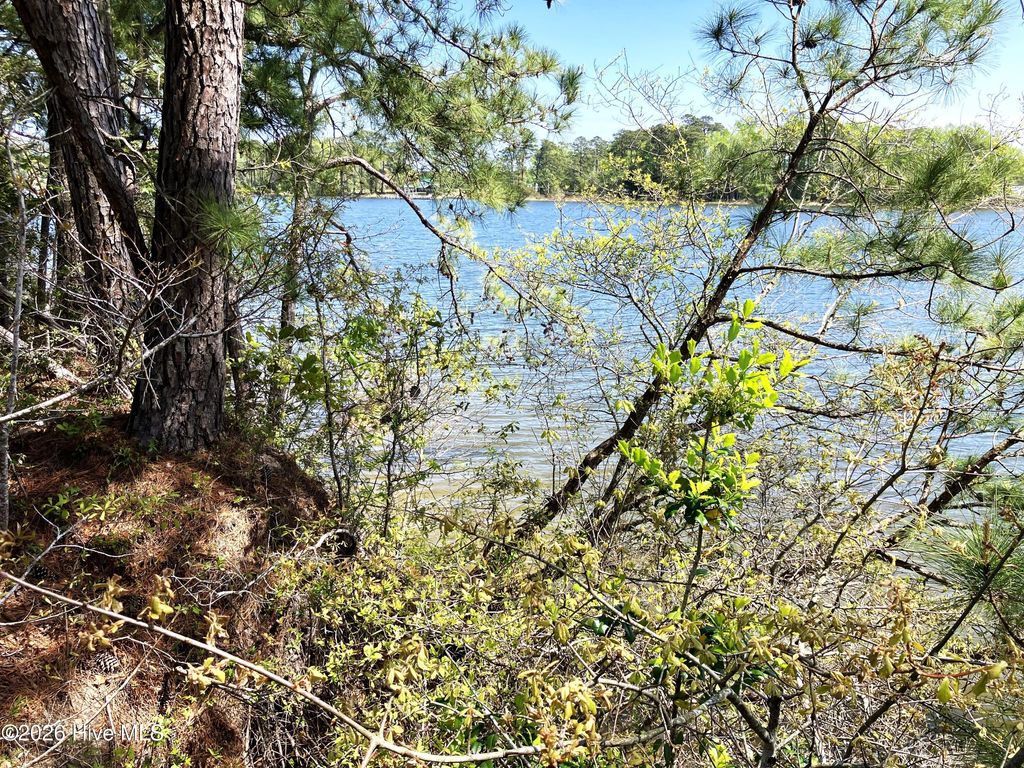 Photo of 00 Lukeath Carter Drive, Havelock, NC 28532 (MLS # 100565886)