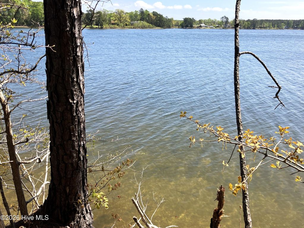 Photo of 00 Lukeath Carter Drive, Havelock, NC 28532 (MLS # 100565886)