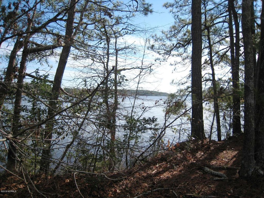 Photo of 00 Lukeath Carter Drive, Havelock, NC 28532 (MLS # 100565886)