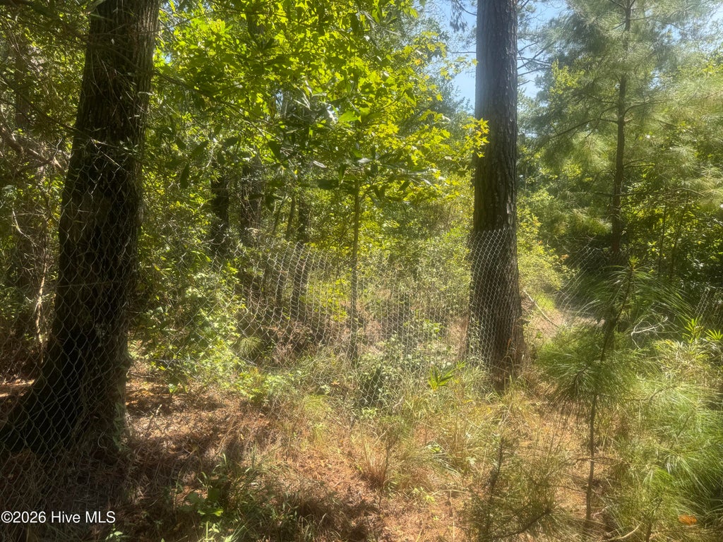 Photo of 0 Bud Stephens Road, Evergreen, NC 28438 (MLS # 100604150)