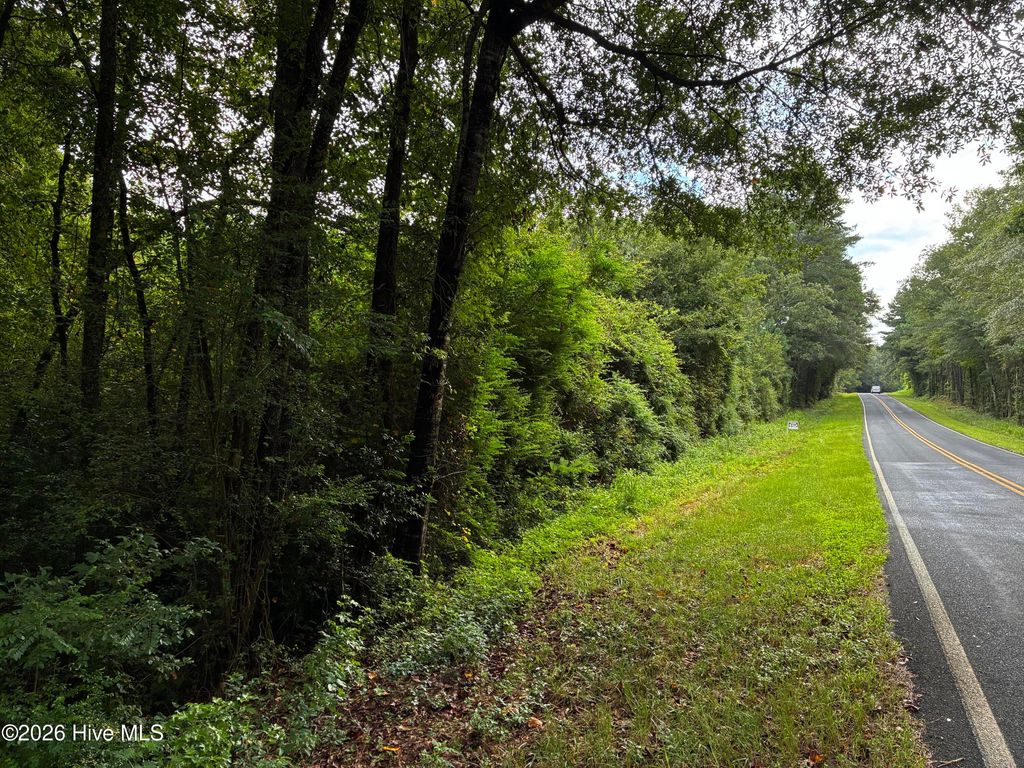 Photo of 0 Briggs Road, Cameron, NC 28326 (MLS # 100549250)