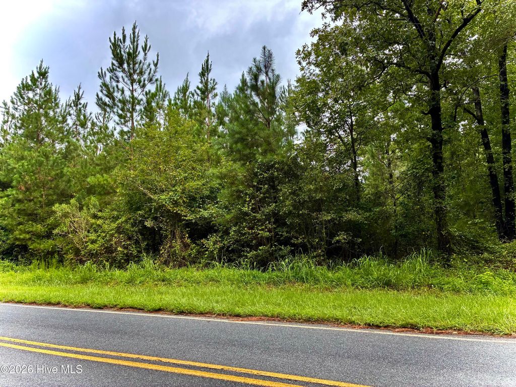 Photo of 0 Briggs Road, Cameron, NC 28326 (MLS # 100549250)