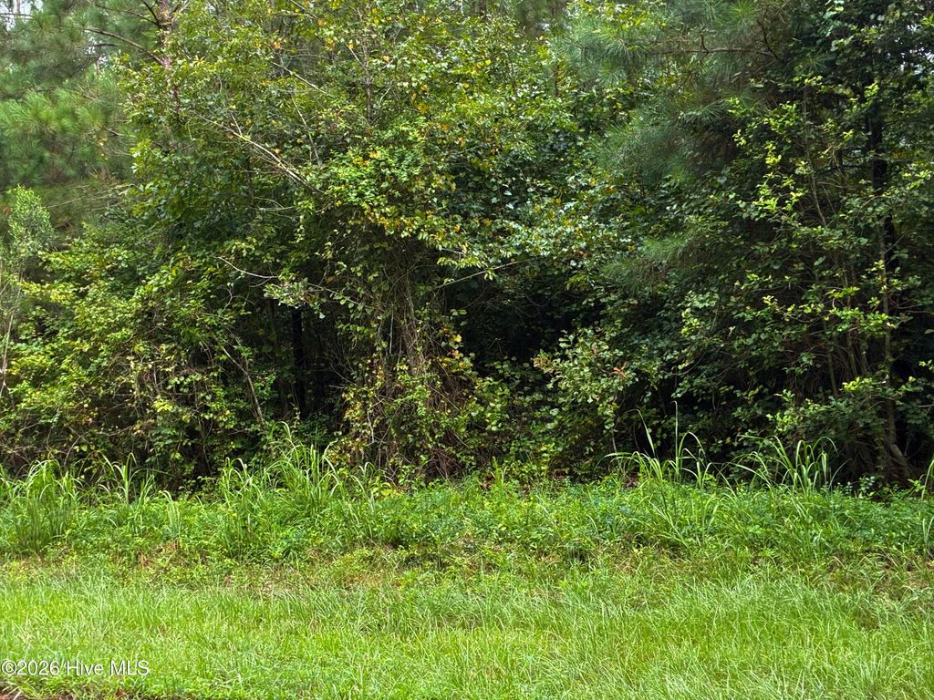 Photo of 0 Briggs Road, Cameron, NC 28326 (MLS # 100549250)