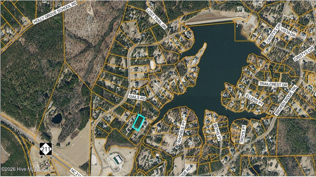 Photo of 175 Broken Ridge Trail, West End, NC 27376 (MLS # 100583496)
