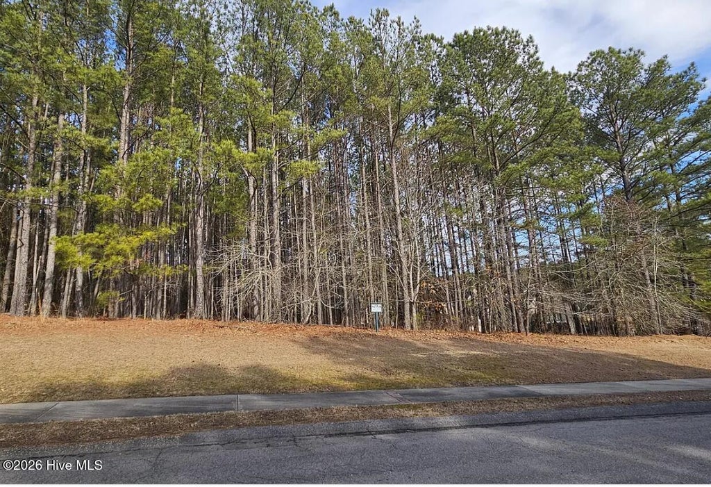 Photo of 175 Broken Ridge Trail, West End, NC 27376 (MLS # 100583496)