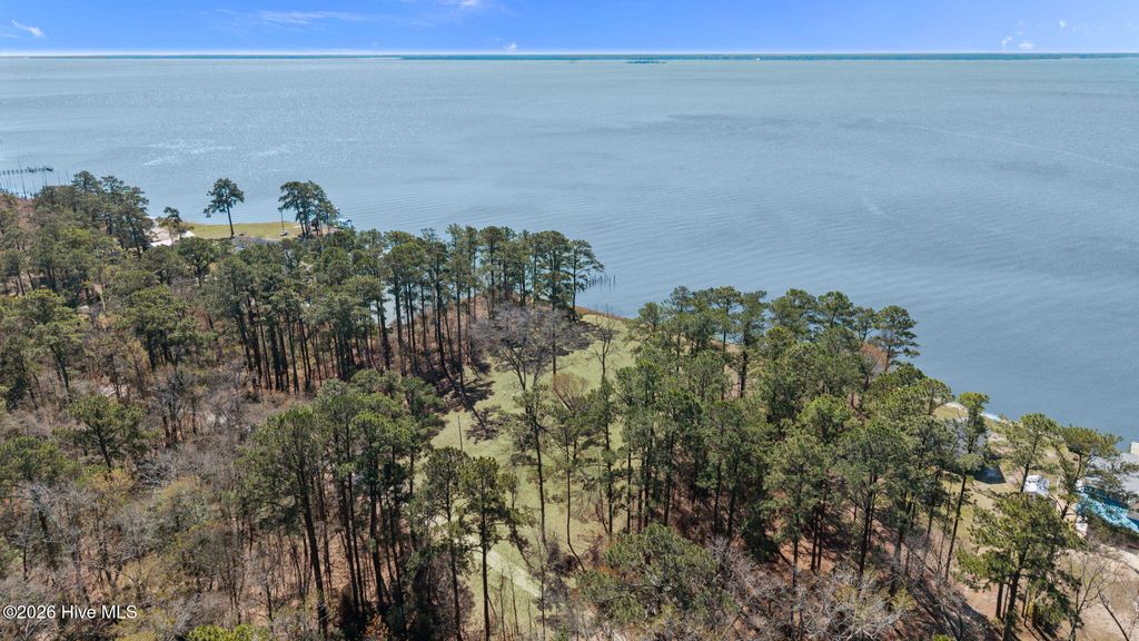 Photo of 403 Chambers Point Road, Belhaven, NC 27810 (MLS # 100566289)