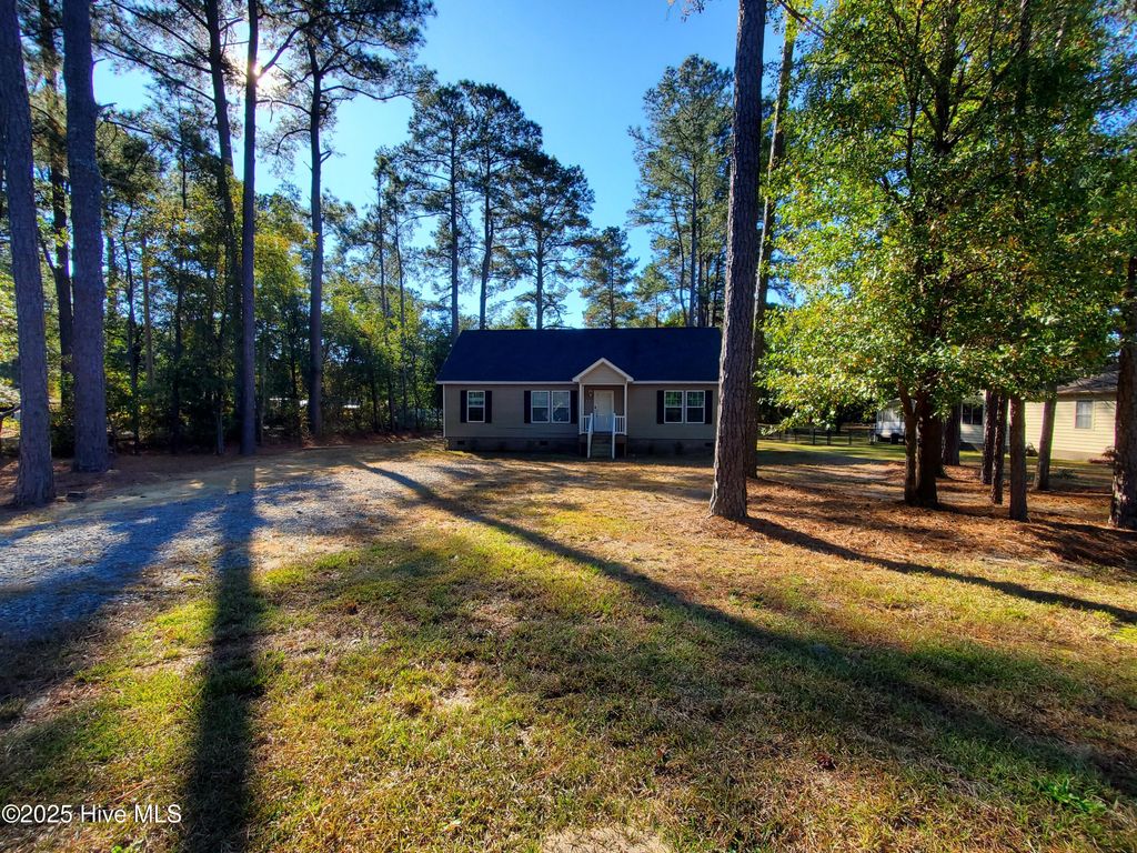 Photo of 692 Sandhill Drive, Dudley, NC 28333 (MLS # 100539443)