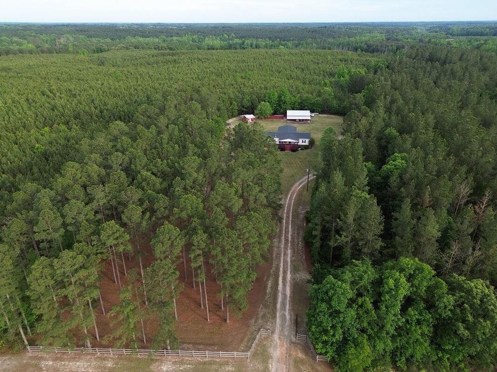 Photo of 6615 GA-102, Stapleton, GA 30823 (MLS # 555195)