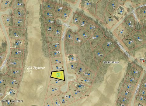 Vacant Land For Sale - 272 Tayriver<br/> Rocky Mount, NC 27804
