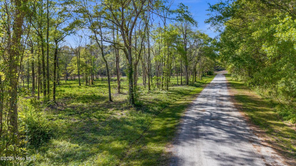 Photo of 176 Quiet Water Drive, Chinquapin, NC 28521 (MLS # 100565832)