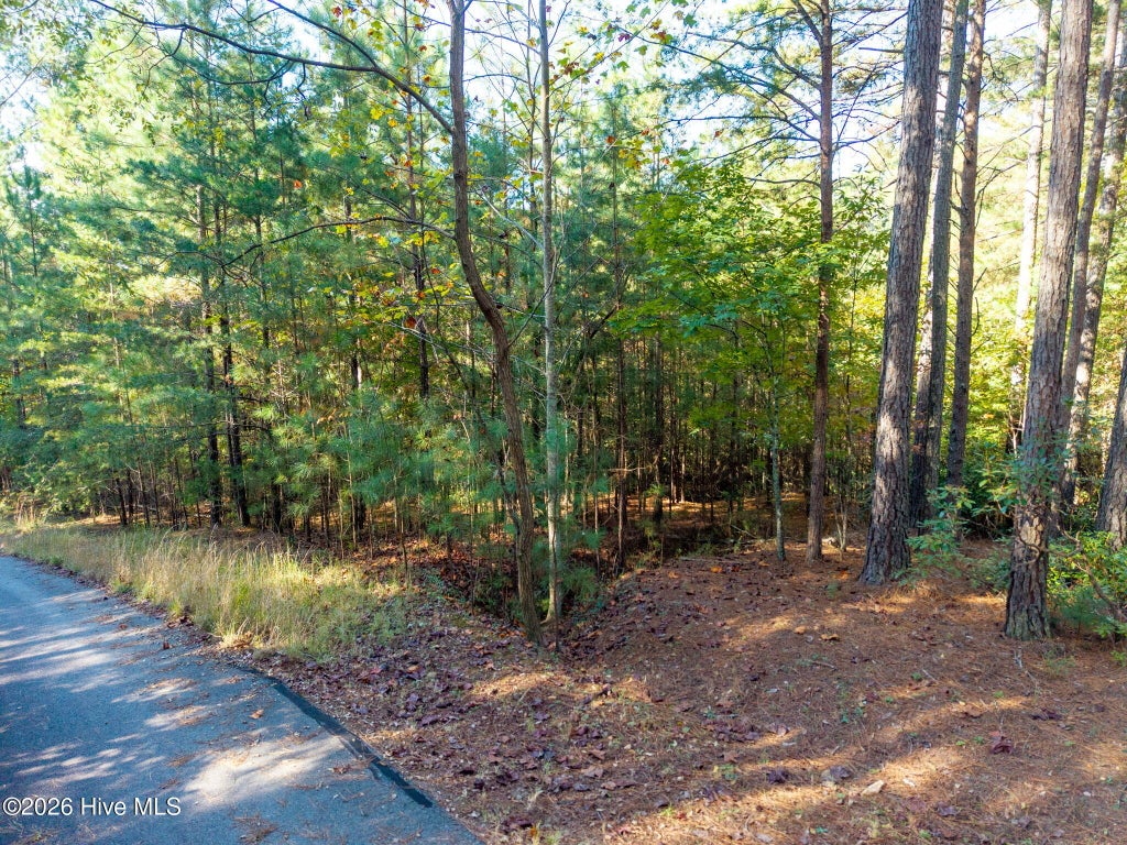Photo of 71 Nature Trail, Murphy, NC 28906 (MLS # 100609867)