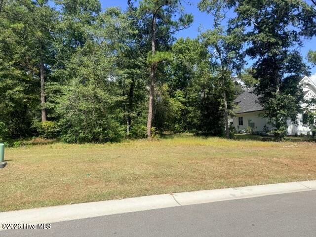 Photo of 3737 River Park Way NE, Leland, NC 28451 (MLS # 100607793)