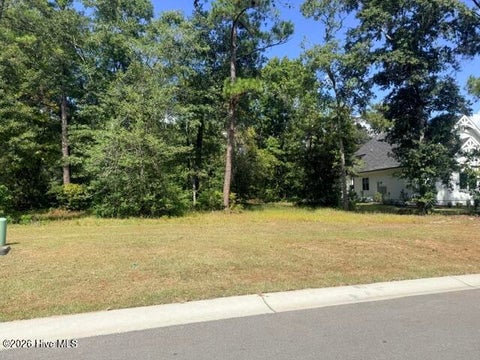 Photo of 3737 River Park Way NE, Leland, NC 28451 (MLS # 100607793)
