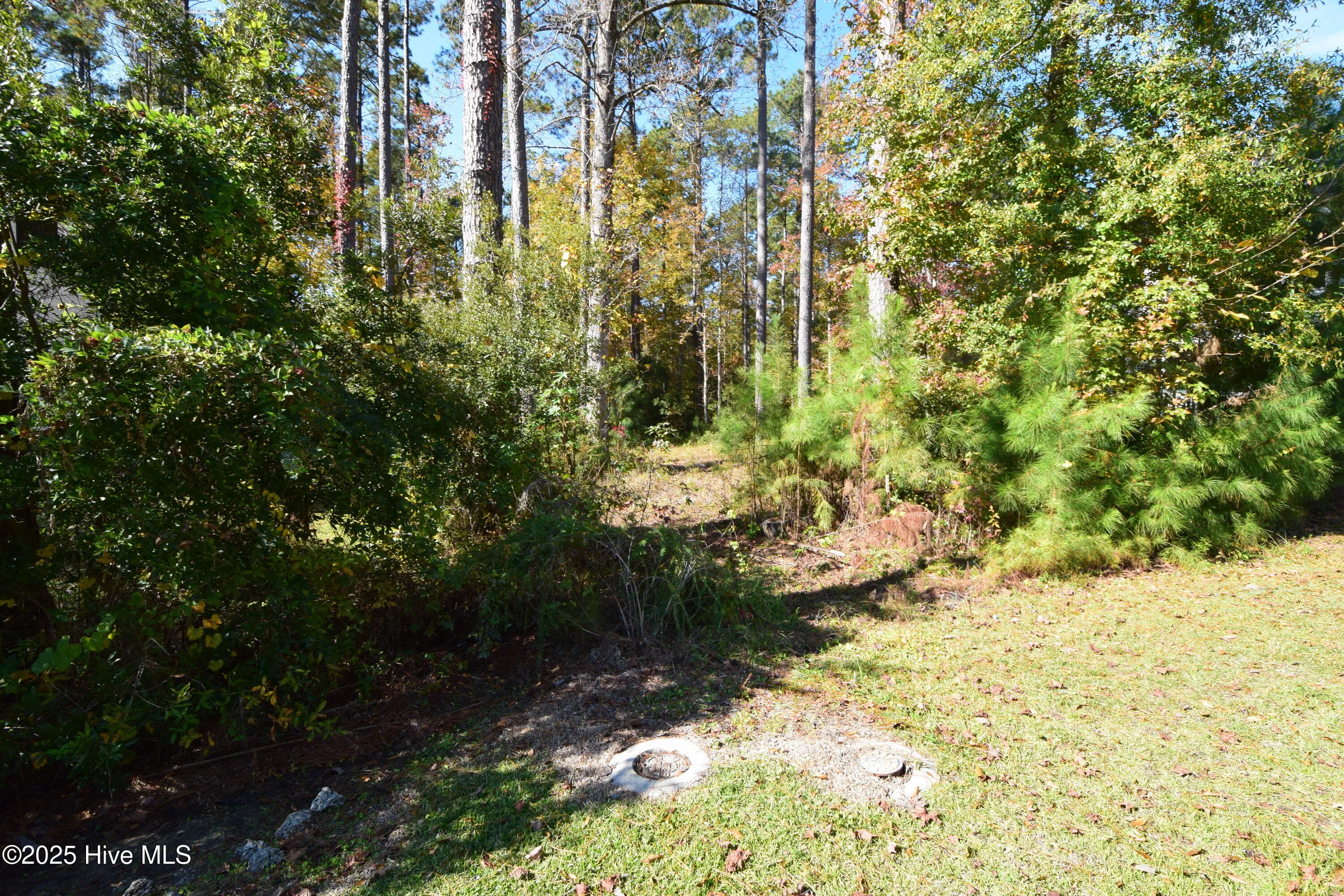 1005 Alabaster Drive