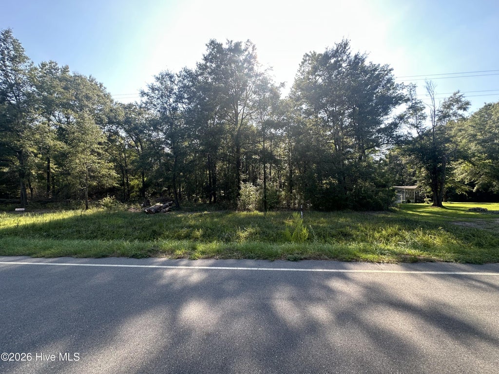 Photo of 3 Ivanhoe Road, Ivanhoe, NC 28447 (MLS # 100596563)