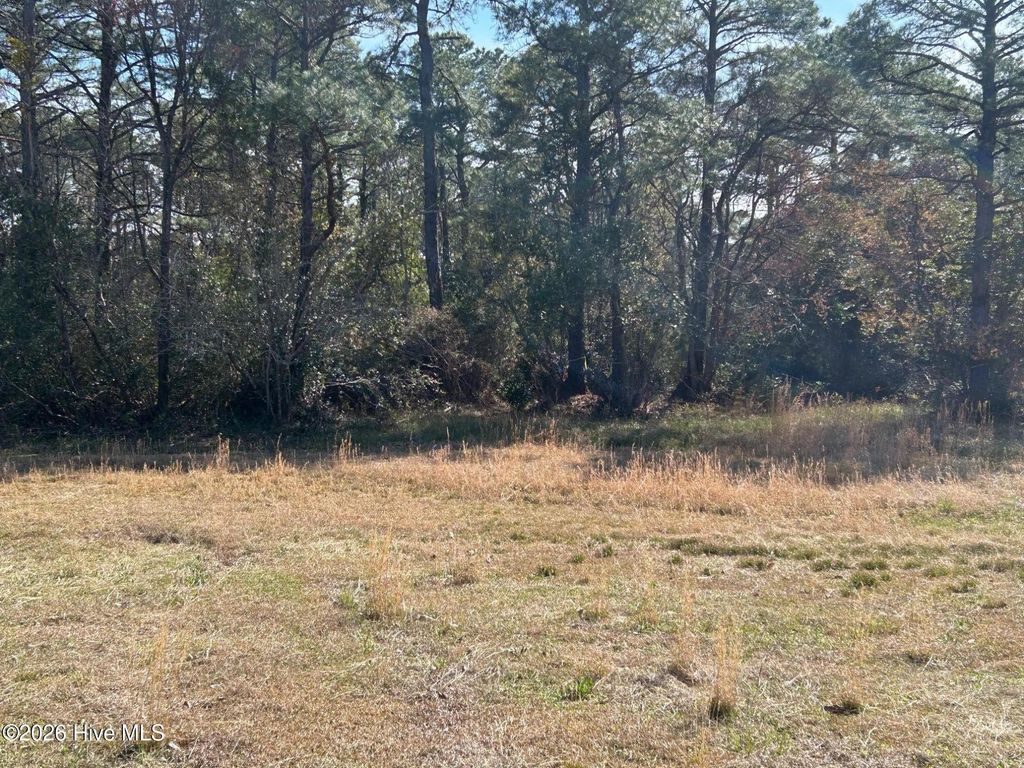 Photo of 1609 Caracara Drive, New Bern, NC 28560 (MLS # 100561483)