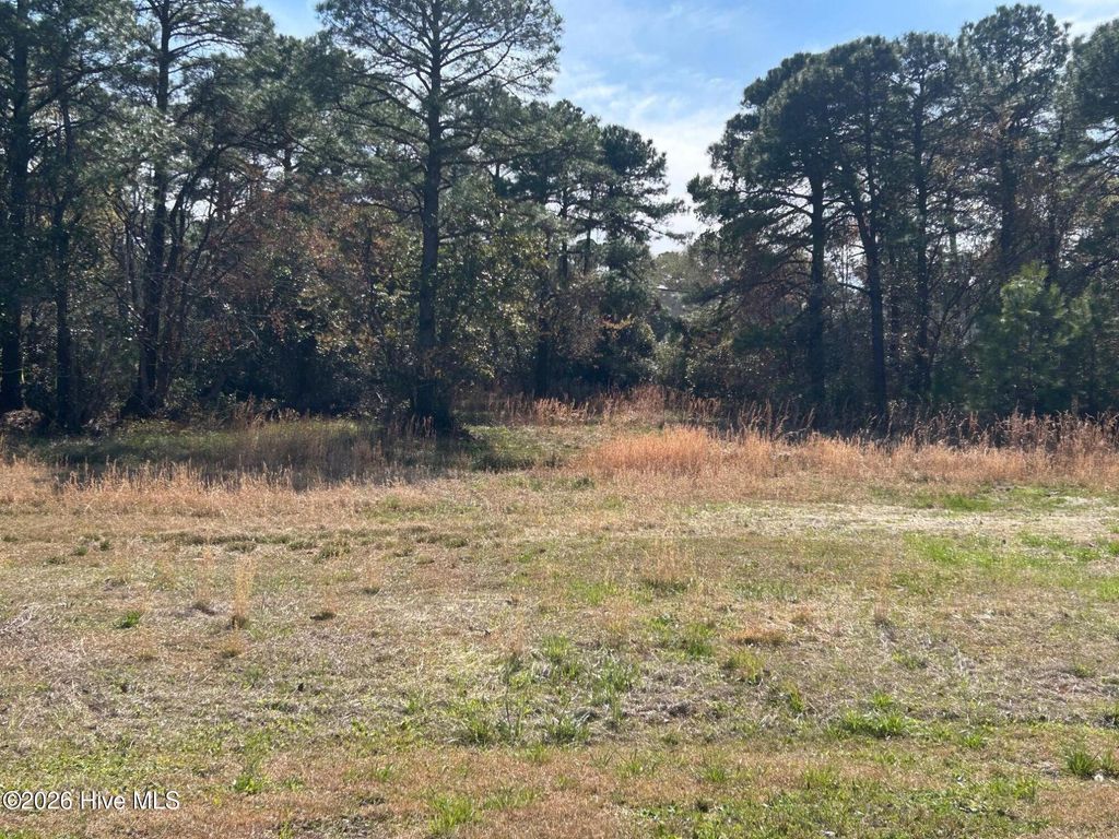 Photo of 1609 Caracara Drive, New Bern, NC 28560 (MLS # 100561483)