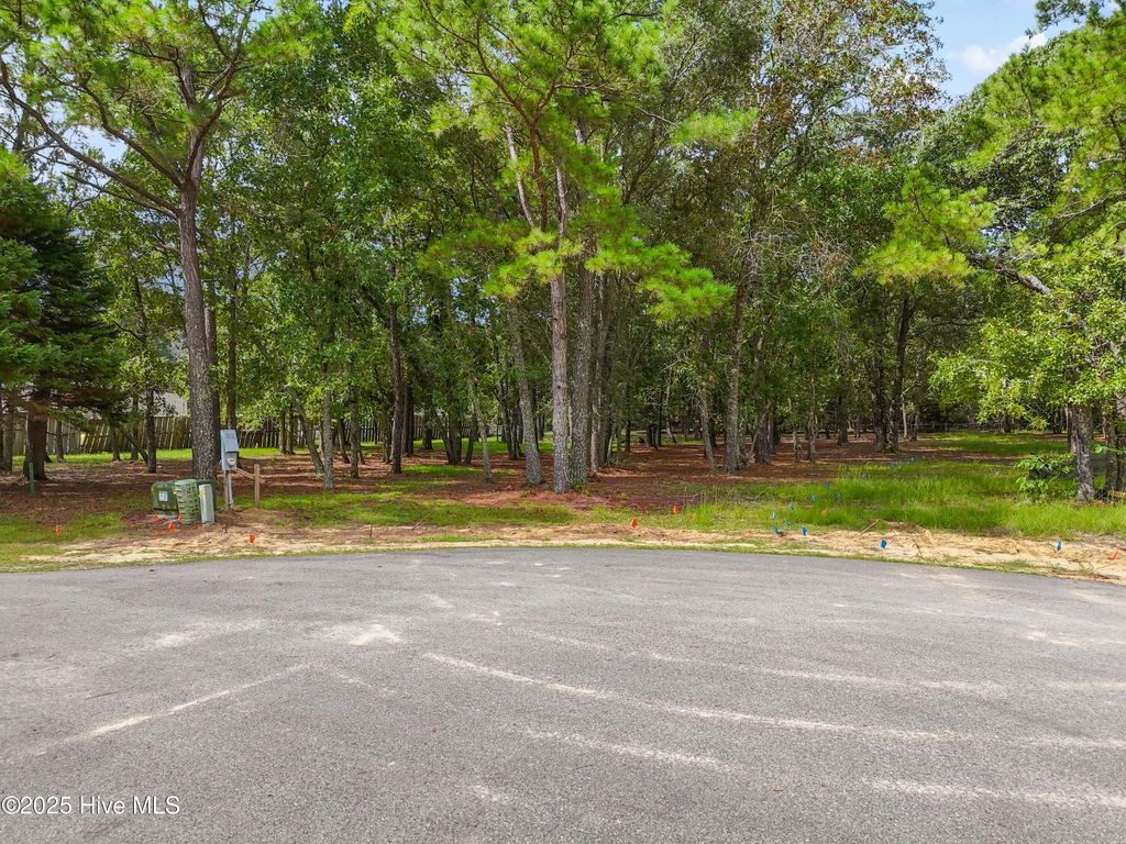 Photo of 3055 Purple Finch Lane SW, Supply, NC 28462 (MLS # 100525739)