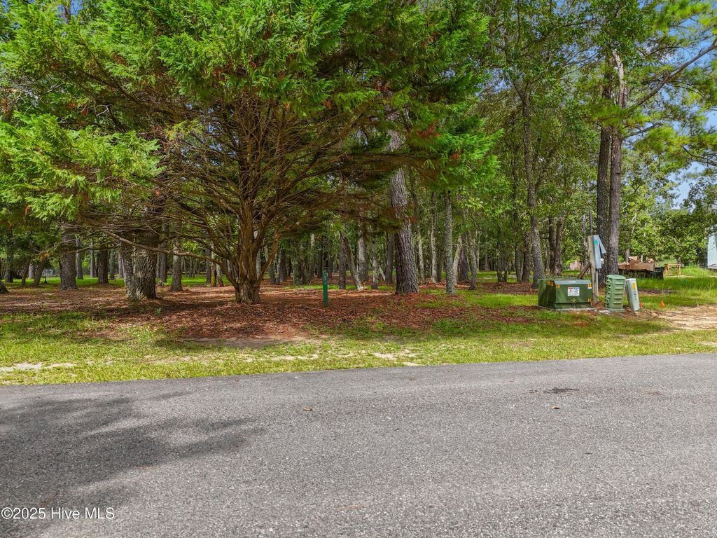 Photo of 3055 Purple Finch Lane SW, Supply, NC 28462 (MLS # 100525739)