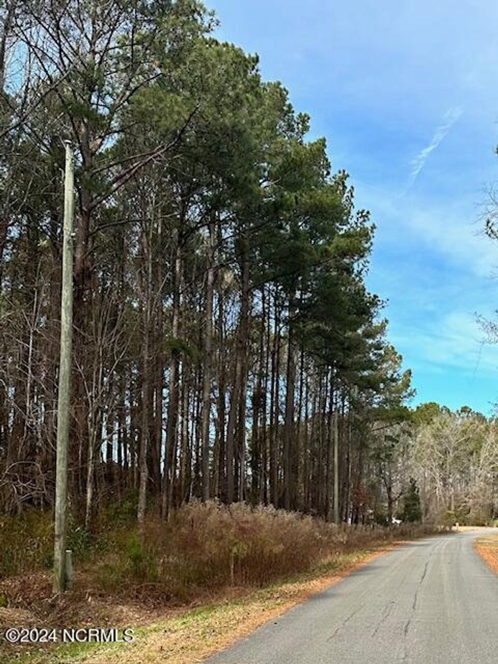 Photo of 3444 Berachah Road, Ayden, NC 28513 (MLS # 100421226)