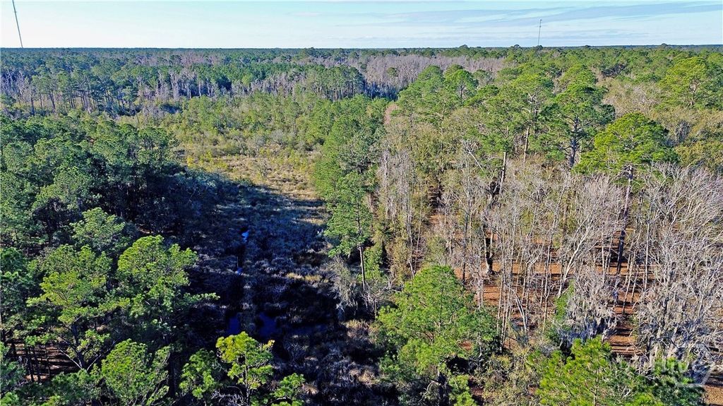 Photo of 4 S Newport Drive NE, Townsend, GA 31331 (MLS # SA347031)