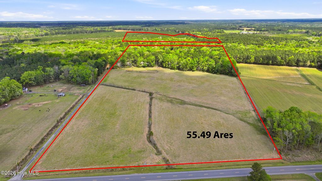 Photo of 2639 Nc Highway 211 Hwy, Clarkton, NC 28433 (MLS # 100564299)